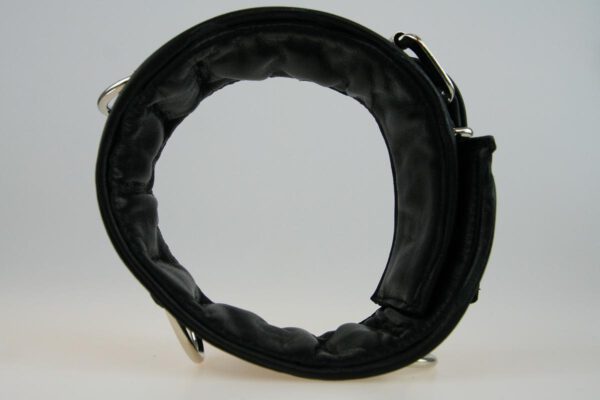 Lederhalsband mit weicher Polsterung, 3 D-Ringen und Schnallenverschluss
